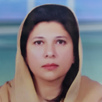 shahanarizvi shahanarizvi