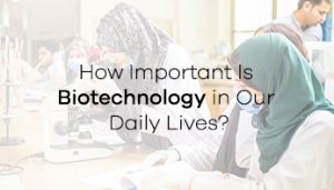 How Important Is Biotechnology in Our Daily Lives?
